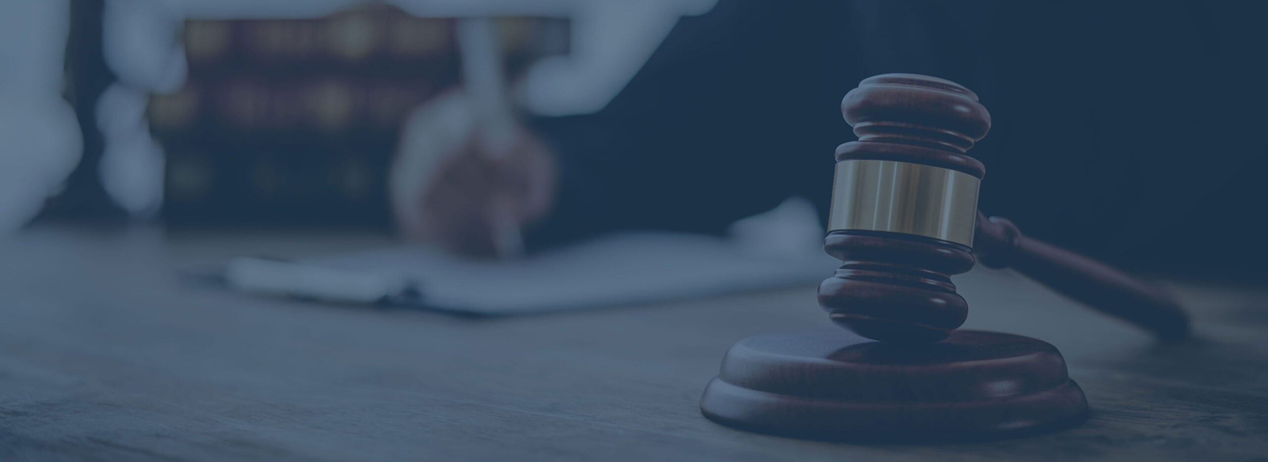 litigation litigation<br />